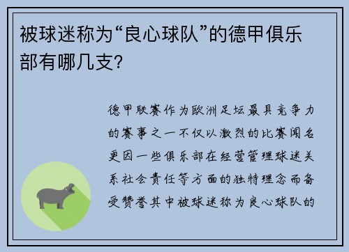 被球迷称为“良心球队”的德甲俱乐部有哪几支？